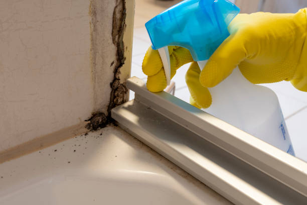 Water Damage Restoration in Trussville, AL