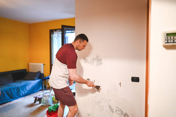 Attic Mold Removal in Trussville, AL