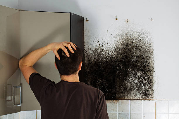 Best Mold Testing  in Trussville, AL